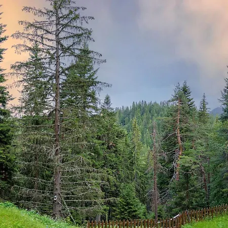 Apartmán Mursala Pamporovo