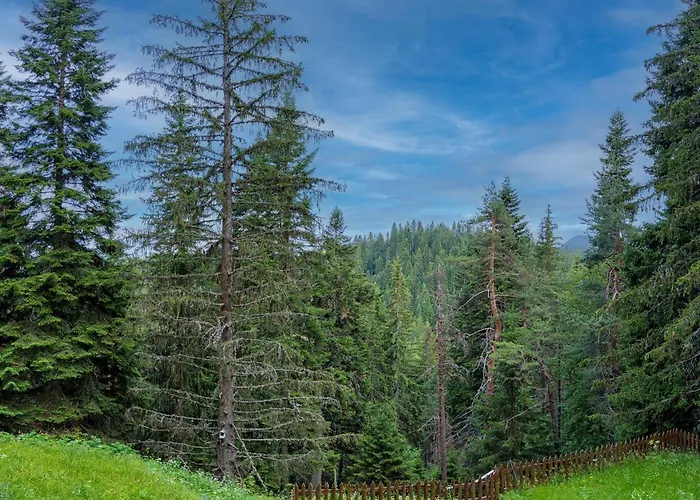 Mursala Апартамент *