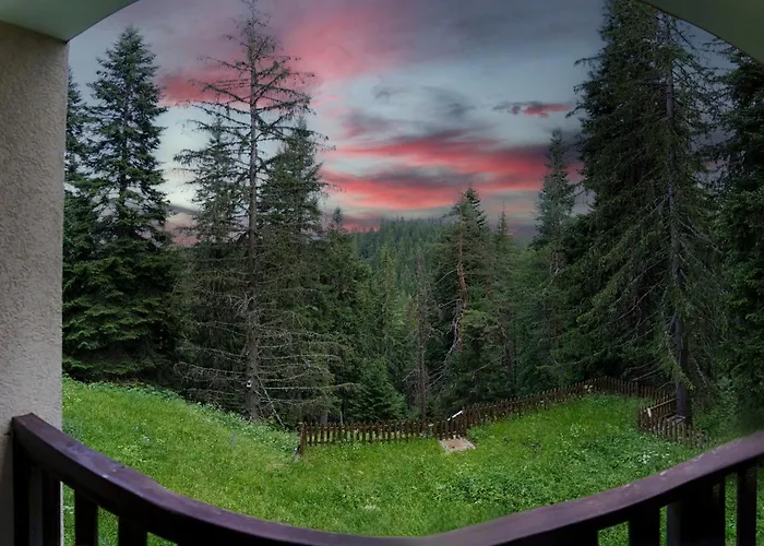 Mursala パンポロボ