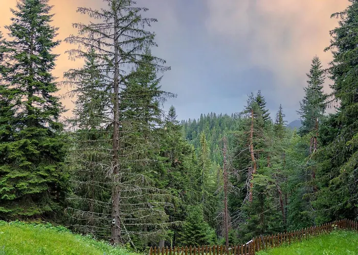 アパート Mursala パンポロボ